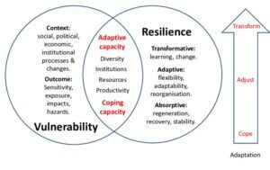 Adaptability and Resilience